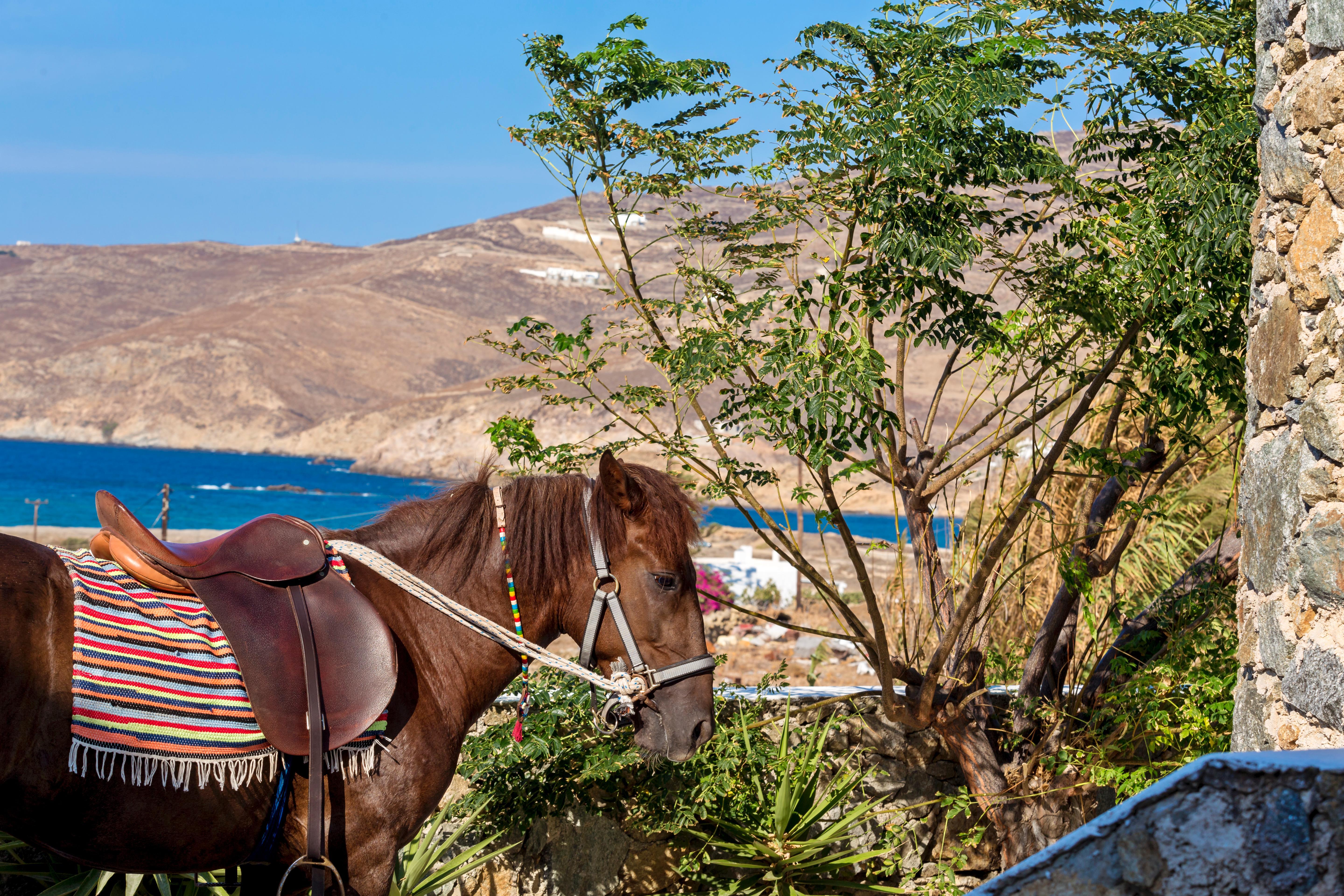 פטליה Anamar Mykonos Natural Retreat מראה חיצוני תמונה